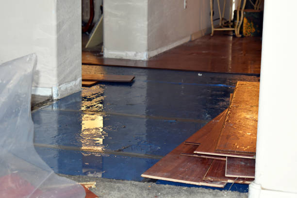 Professional Basement Flood Cleanup technician working in Camp Murray, WA